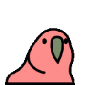 Parrot.gif